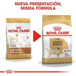 ROYAL CANIN Labrador Retriever Adult Pienso Para Perro Adulto De Raza 14 ROYAL CANIN Labrador Retriever Adult Pienso Para Perro Adulto De Raza -Suministros Para Perros 28 rc bhn labrador cv eretailkit 4 es es 6