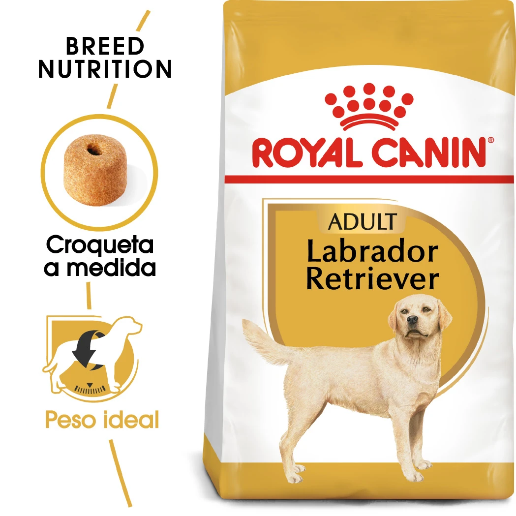 ROYAL CANIN Labrador Retriever Adult Pienso Para Perro Adulto De Raza 2 ROYAL CANIN Labrador Retriever Adult Pienso Para Perro Adulto De Raza - Imagen 2