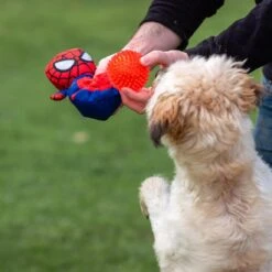Peluche Para Perro Pelota Spiderman -Suministros Para Perros 2800000707 5