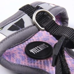 Arnés Premium Disney Villanas Para Perros -Suministros Para Perros 2800000865 8 6273ab63185b6