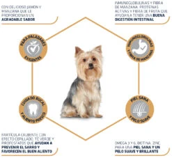 Advance Canine Yorkshire -Suministros Para Perros 294 3 3
