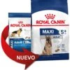 ROYAL CANIN Maxi Adult 5+ Pienso Para Perro Sénior De Razas Tamaño Grande