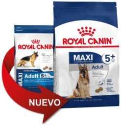 ROYAL CANIN Maxi Adult 5+ Pienso Para Perro Sénior De Razas Tamaño Grande