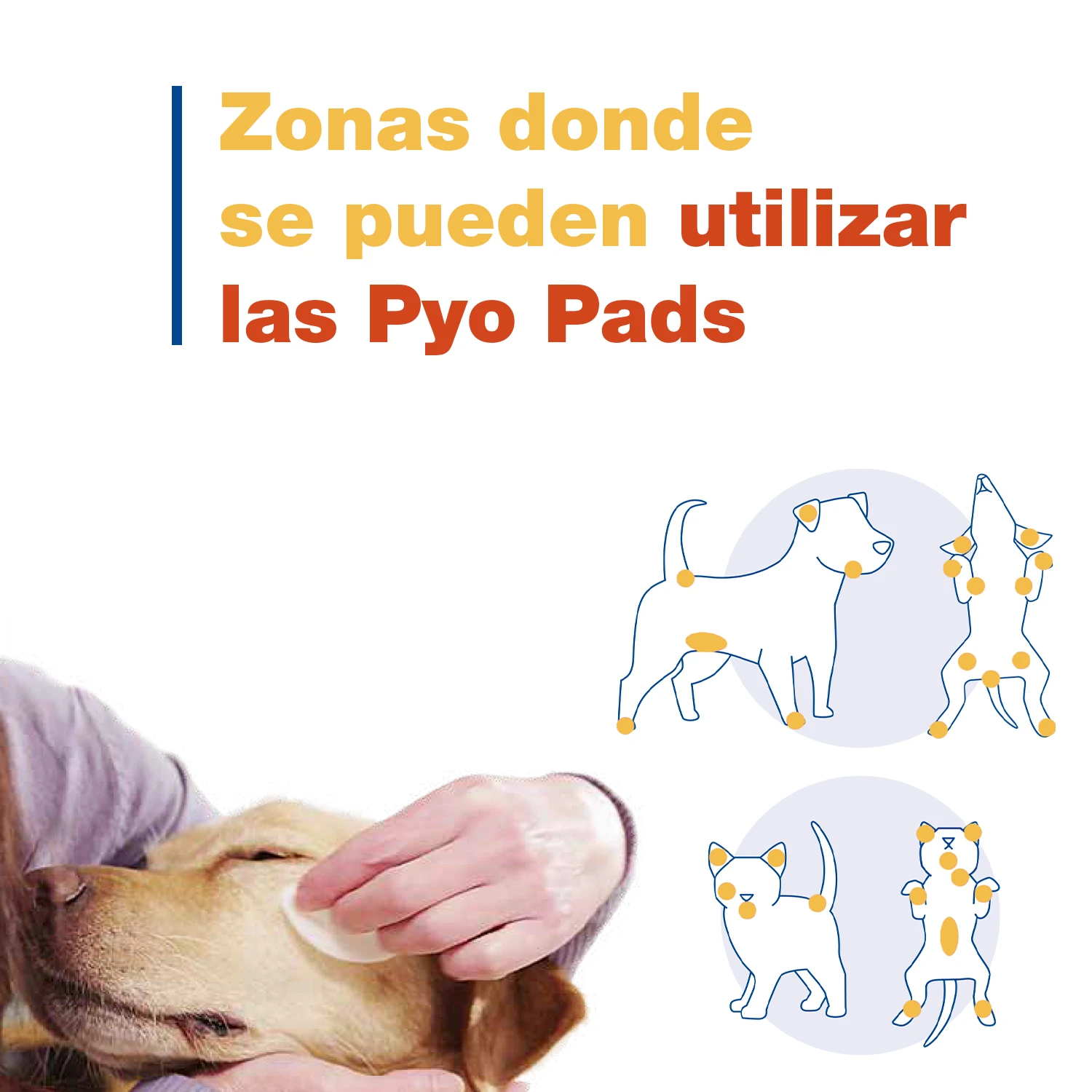 Douxo Pyo Pads Discos De Algodón Para Perros Y Gatos 6 Douxo Pyo Pads Discos De Algodón Para Perros Y Gatos - Imagen 6