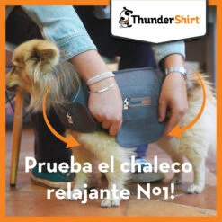 Chaleco Antiestrés Para Perro -Suministros Para Perros 3411113088194 6 64f827f5307b5