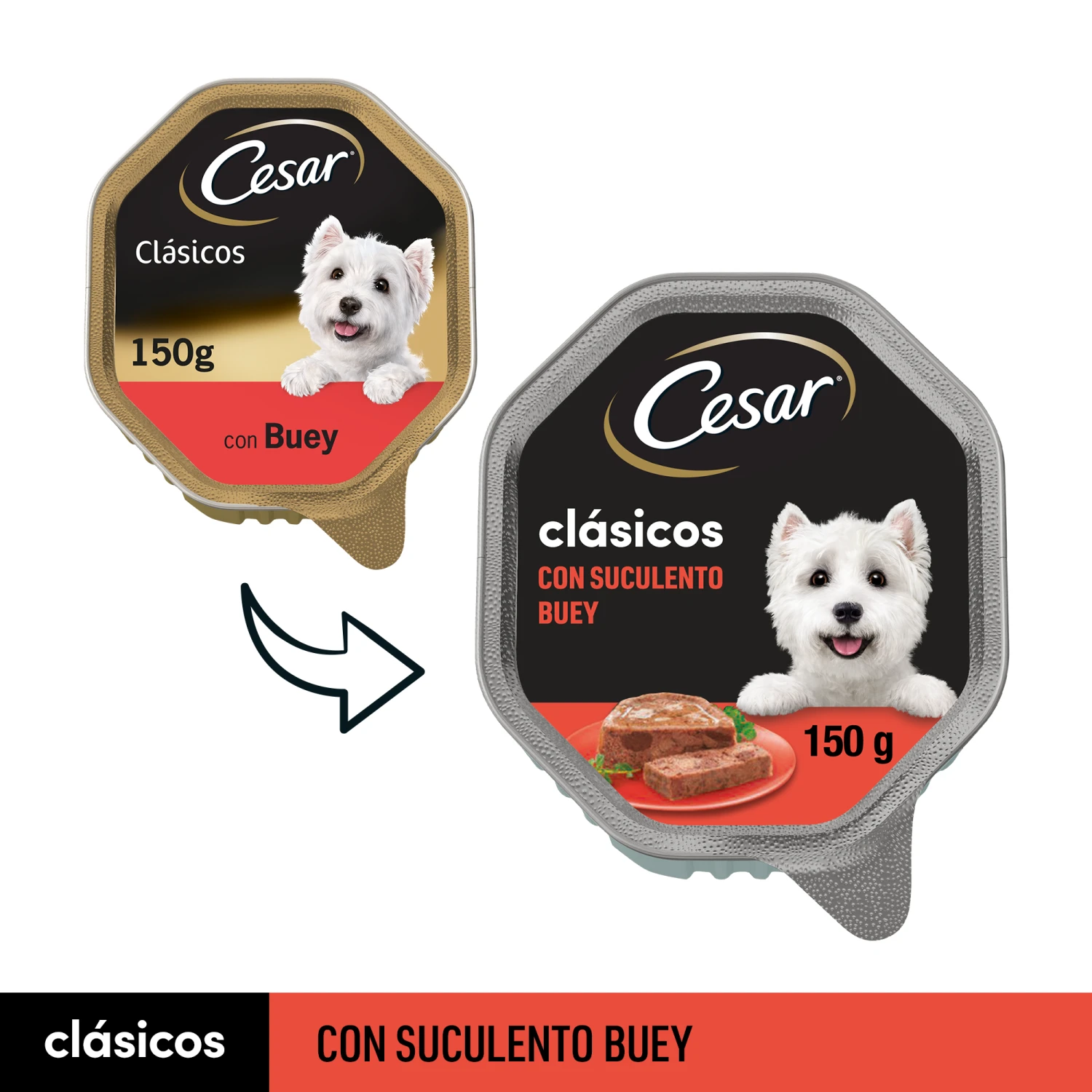 Pack 14 Comida Húmeda Para Perros Sabor Buey En Paté Tarrina 3 Pack 14 Comida Húmeda Para Perros Sabor Buey En Paté Tarrina - Imagen 3