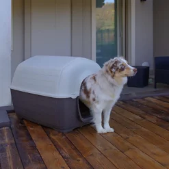 FERPLAST Caseta Para Perro De Plastico Kenny XS 15 FERPLAST Caseta Para Perro De Plastico Kenny XS -Suministros Para Perros 4 0190009068 1800x1800 63738c7bb3780