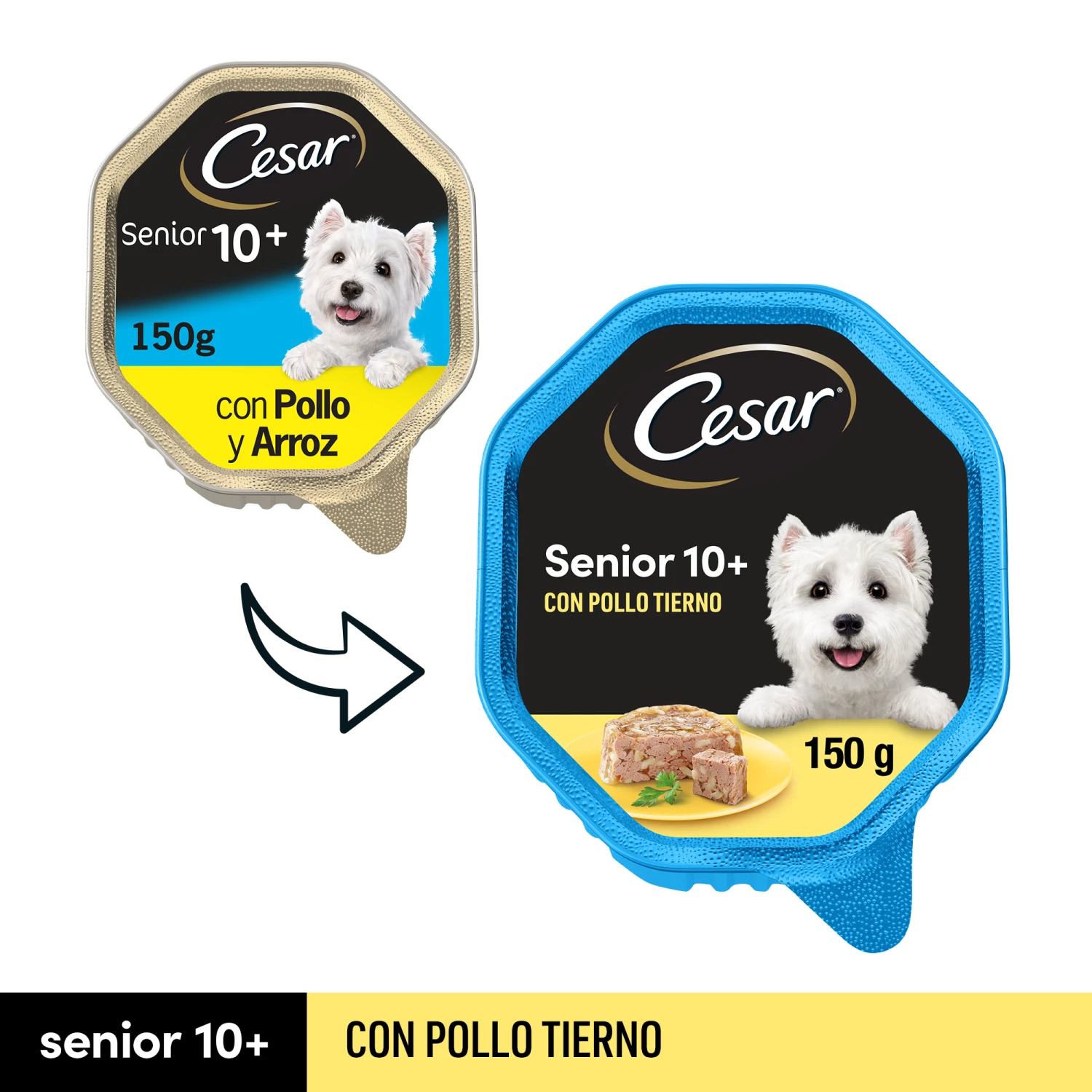 Pack 14 Comida Húmeda Para Perros Senior En Paté Con Pollo Y Arroz Tarrina 3 Pack 14 Comida Húmeda Para Perros Senior En Paté Con Pollo Y Arroz Tarrina - Imagen 3