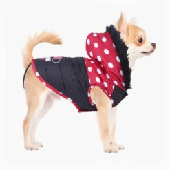 Abrigo Minnie Mouse Para Perros -Suministros Para Perros 423652 abrigo minnie mouse 11 8 jpeg 7