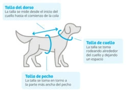 Abrigo Minnie Mouse Para Perros -Suministros Para Perros 423652 9