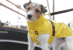 Trixie Impermeable Vimy Amarillo Para Perros 16 Trixie Impermeable Vimy Amarillo Para Perros -Suministros Para Perros 426360 vimyama 4