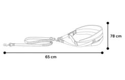 Flamingo Canicross Para Perros Contiene Cinturón Ajustable 140 Cm -Suministros Para Perros 504916 T 01 63a0165fdc44d