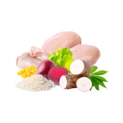 Specific Diet Gastrointestinal 10 Specific Diet Gastrointestinal -Suministros Para Perros 512x512 4 1 649d647c5e6d9