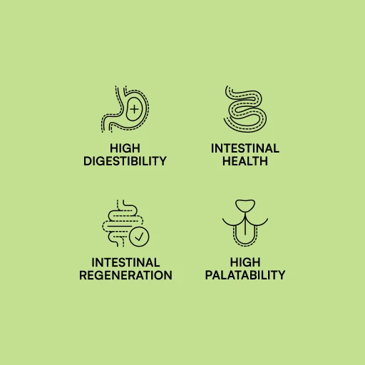 Specific Diet Gastrointestinal 4 Specific Diet Gastrointestinal - Imagen 4