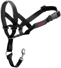 Halti Bozal Para Perro Headcollar Negro