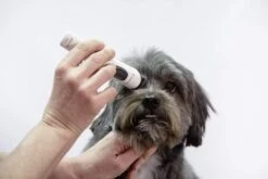 ARTERO Máquina Exacta -Suministros Para Perros 51lj7d3erkl ac sl1000 6343e28460dcb