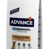 Advance Canine Pastor Alemán