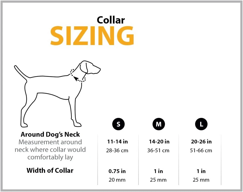 Ruffwear Collar Perro Hoopie Obsidian Black 2 Ruffwear Collar Perro Hoopie Obsidian Black - Imagen 2