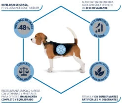 Advance Canine Medium Light -Suministros Para Perros 65 3 3