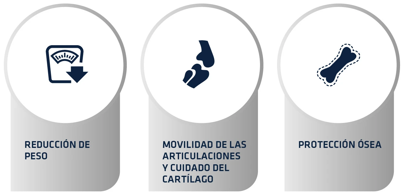 Advance Canine VD Articular Care Reduced Calorie 5 Advance Canine VD Articular Care Reduced Calorie - Imagen 5