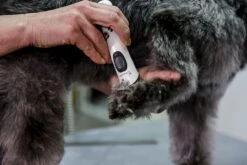 ARTERO Máquina Exacta -Suministros Para Perros 71nduicb86s ac sl1500 6343e2858140f