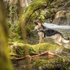 Julius K9 Arnés IDC Camuflaje -Suministros Para Perros 74075 julius k9 idc powergeschirr camouflage 4 3 63ca5226ec8f3