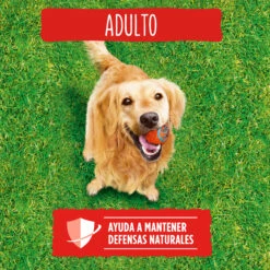 FRISKIES Adulto Buey Cereales Y Verduras -Suministros Para Perros 7613033765315 3 64e35e5c380c6