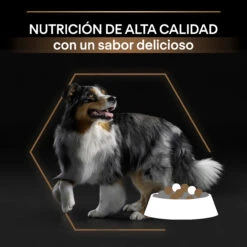 Pro Plan Canine Duo Delice Adult Ternera -Suministros Para Perros 7613034083784 4 64d4f1bb61222