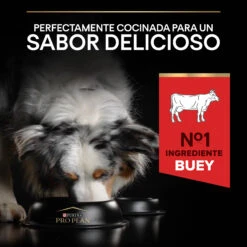 Pro Plan Canine Duo Delice Adult Ternera -Suministros Para Perros 7613034083784 7 64d4f1bb67d78