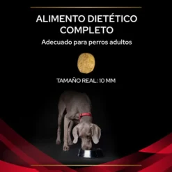 DM Diabetes Managment 11 DM Diabetes Managment -Suministros Para Perros 7613034995193 3 63073b6c37e9f