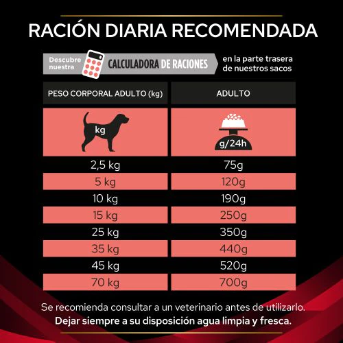 DM Diabetes Managment 6 DM Diabetes Managment - Imagen 6