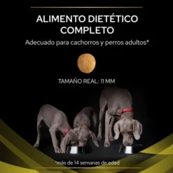 HP Hepatic -Suministros Para Perros 7613034996312 3 63690def6eb8e