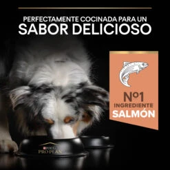 PRO PLAN Optiderma Adult De Salmón Medium -Suministros Para Perros 7613035119024 7 64d3a12ddf06b