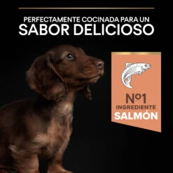 PRO PLAN Optiderma Puppy De Salmón Small/Mini -Suministros Para Perros 7613035123809 7 64d4f15d66e57