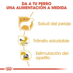 ROYAL CANIN Pack 12 Chihuahua Adult Húmedo -Suministros Para Perros 80296 rc bhn wet chihuahua cv eretailkit 3 es es 3