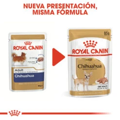 ROYAL CANIN Pack 12 Chihuahua Adult Húmedo -Suministros Para Perros 80296 rc bhn wet chihuahua cv eretailkit 4 es es 6