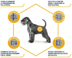 Advance Canine VD Renal Failure -Suministros Para Perros 82717 3 3