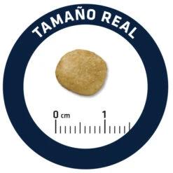 Advance Canine VD Renal Failure -Suministros Para Perros 82717 5 5