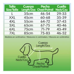 Impermeable Rojo -Suministros Para Perros 8435117813595 3