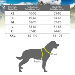 Arnés Xtreme Classic Dog Negro -Suministros Para Perros 8435117890619 3