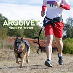 Cinturón Con Correa Canicross Negro -Suministros Para Perros 8435117893788 3