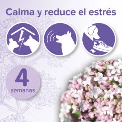 BEAPHAR No Stress Pack Difusor Y Recarga Para Perros 8 BEAPHAR No Stress Pack Difusor Y Recarga Para Perros -Suministros Para Perros 8711231148981 2 64c78b9f11e35