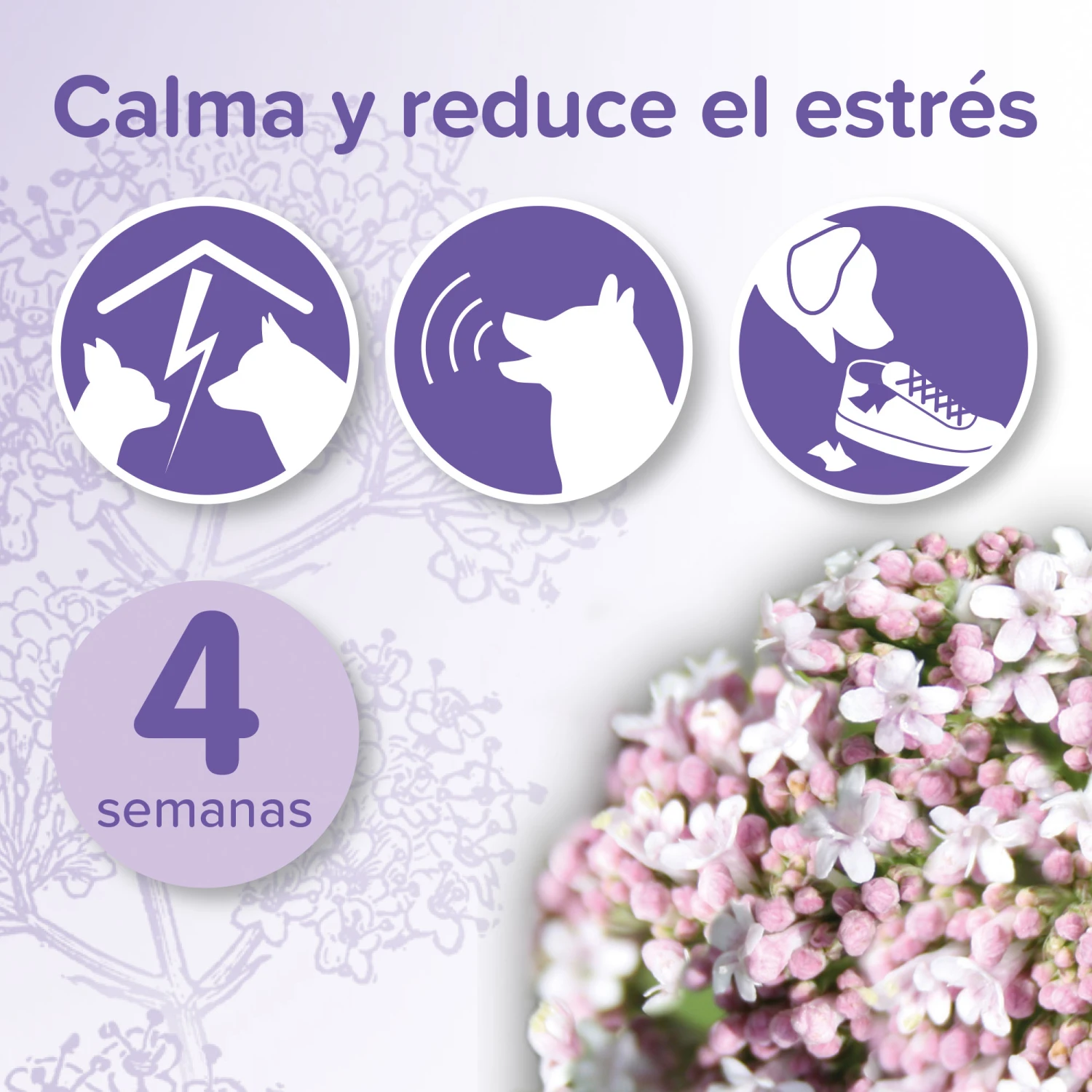 BEAPHAR No Stress Pack Difusor Y Recarga Para Perros 3 BEAPHAR No Stress Pack Difusor Y Recarga Para Perros - Imagen 3