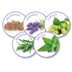 BEAPHAR No Stress Pack Difusor Y Recarga Para Perros 9 BEAPHAR No Stress Pack Difusor Y Recarga Para Perros -Suministros Para Perros 8711231148981 3 64c78b9f139c1