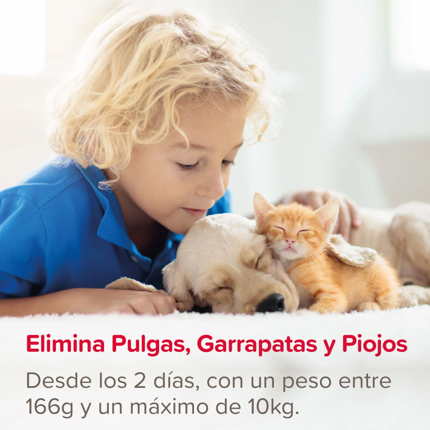 Spray Antiparasitario Para Gatos Y Perros (2,5mg/ml) 2 Spray Antiparasitario Para Gatos Y Perros (2,5mg/ml) - Imagen 2