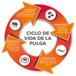 Spray Antiparasitario Para Gatos Y Perros (2,5mg/ml) 8 Spray Antiparasitario Para Gatos Y Perros (2,5mg/ml) -Suministros Para Perros 8711231154081 2 64a6c495da565