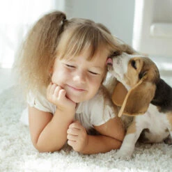 Spray Antiparasitario Para Gatos Y Perros (2,5mg/ml) 10 Spray Antiparasitario Para Gatos Y Perros (2,5mg/ml) -Suministros Para Perros 8711231154081 2