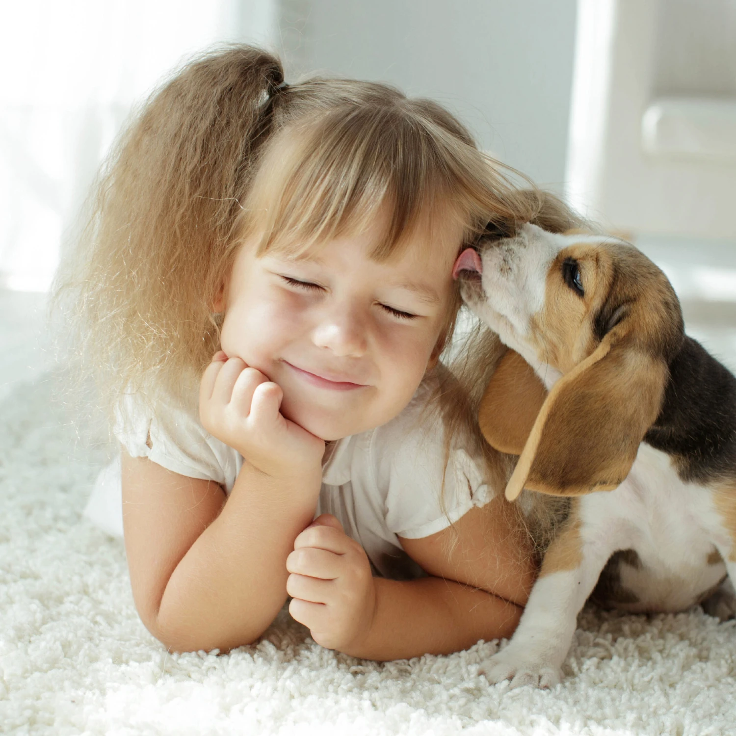 Spray Antiparasitario Para Gatos Y Perros (2,5mg/ml) 5 Spray Antiparasitario Para Gatos Y Perros (2,5mg/ml) - Imagen 5