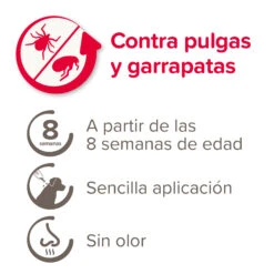 BEAPHAR Spot On Para Perros Grandes De 20-40 Kg -Suministros Para Perros 8711231164790 3 64a6c55ddb2c0