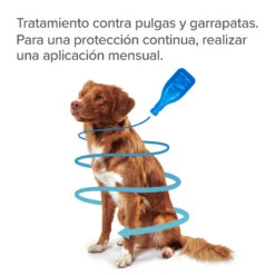 BEAPHAR Spot On Para Perros Grandes De 20-40 Kg -Suministros Para Perros 8711231164790 4 64a6c55ddd733